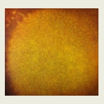 , Sun