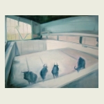 , Swimming Poll