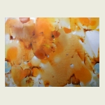 Tatiana Grinevich, Sounds of Autumn Tatiana Grinevich, Sounds of Autumn