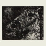 Victor Savchenko, Head of a Horse (11/20), $500