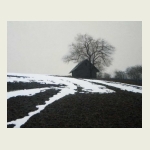 , Last Snow